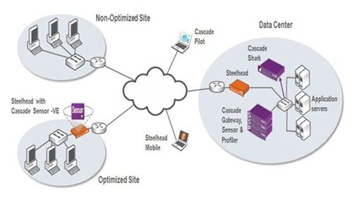 1-1F2201J055312. 1-1F2201J055312.jpg